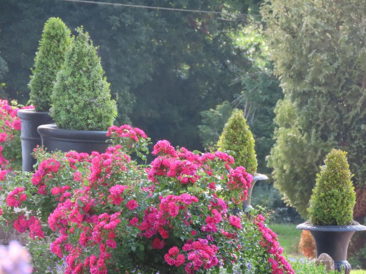 Noan Country House B&B Cashel  Extérieur photo