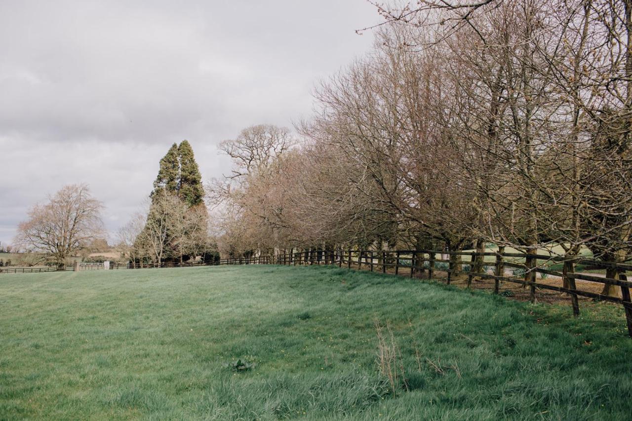 Noan Country House B&B Cashel  Extérieur photo